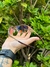 OAKLEY DART FEMININO - Impacto Multimarcas
