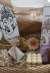 BOX AUTOGESTARSE SAHUMERIOS - comprar online