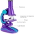 MICROSCOPIO LABORATORIO CIENCIAS LUZ LED 100X 200X 450X INFANTIL ACESSORIOS COMP - comprar online