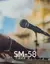 Shure SM58 - O Microfone Lendário para Performance Vocais de Alto Nível! - comprar online