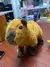 Pelúcia da Capivara. Seu Novo Amigo Aconchegante e Adorável! - comprar online