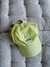 Boné dad hat - país tropical