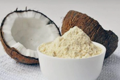 Leche de Coco en polvo - comprar online