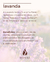 Difusor Lavanda 100ml na internet