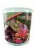 FERTILZANTE UREIA PROTEGIDA PRO SOLO GARDEN 800G - comprar online