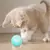 Brinquedo Interativo Inteligente- Bola Automática para Pet- Carregamento USB - GOOBYE
