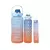 Imagem do Kit 3 Garrafas De Água Squeeze Motivacional Academia 2000ml + 900ml + 300ml