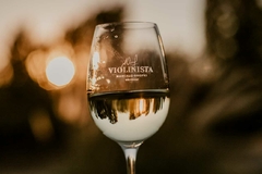 El Violinista Sauvignon Blanc en internet