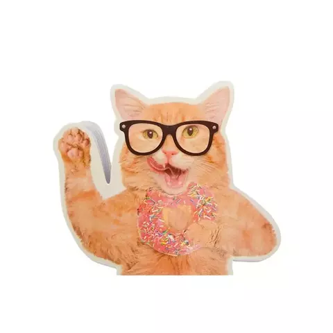 Bloco de anotações gatinho de óculos - comprar online