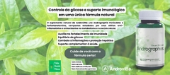 Banner da categoria Produtos