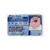 CREDENCIAL LICENCIA PETER GRIFFIN