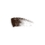 Imagem do Máscara de Cílios Too Faced edição limitada Better Than Sex Volumizing & Lengthening Mascara *Cor: Chocolate