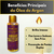 Kit com 3 Reparadores de Pontas Óleo de Argan NatyFlora – Cabelos Brilhantes e Sem Frizz na internet