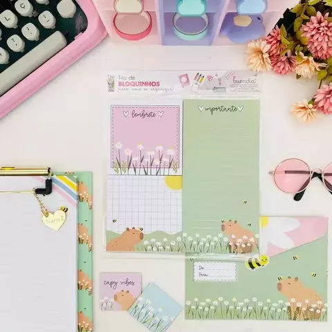 Trio de bloquinhos - Capivara - comprar online