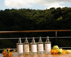 Home Spray Baunilha e Patchouli 250ml - comprar online