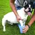 Limpador de Pata de Cachorros Portátil - comprar online