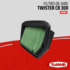 FILTRO DE AIRE HONDA CB 300 TWISTER en internet