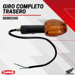 GIRO COMPLETO TRASERO DERECHO HONDA WAVE - Tuamoto Mayorista