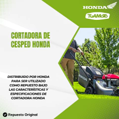 FILTRO DE AIRE CORTADORA DE CESPED HONDA - tienda online