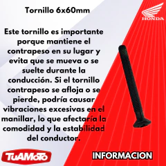 Imagen de TORNILLO CONTRAPESO HONDA CBR 1000 2005/2015 (6x60)