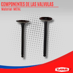 Imagen de JUEGO VALVULAS T105 CRYPTON