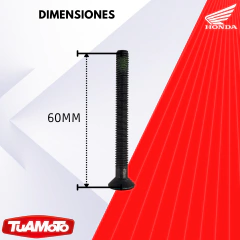 TORNILLO CONTRAPESO HONDA CBR 1000 2005/2015 (6x60)