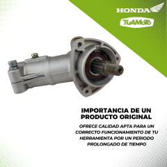 CABEZAL COMPLETO MOTOGUADAÑA HONDA UMKT