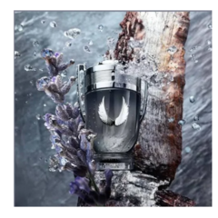 Paco Rabanne - Invictus Platinum - EDP na internet