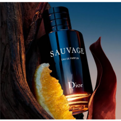 Dior - Sauvage - EDP na internet