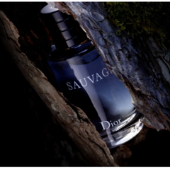 Dior - Sauvage - EDT na internet