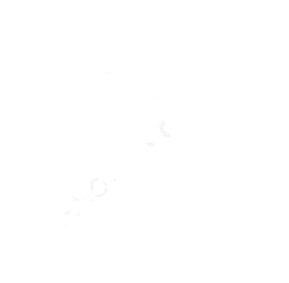 Repuestos Portela