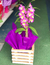 Orquídea Olho-de-boneca - Recanto das Flores