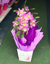 Orquídea Olho-de-boneca - comprar online