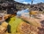 Monte Roraima - 10 dias - Amazon Birdwatching