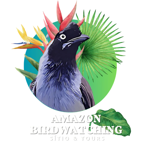 Amazon Birdwatching