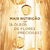 Óleo Extraordinario para Cabelos Elseve Loreal Paris 100ml - comprar online