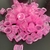 Batoque Trestini Rosa P - 1000 Unidades