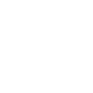 Pala Sur