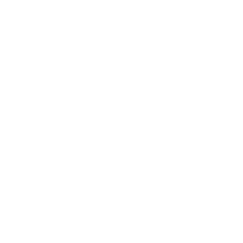 Pala Sur