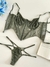Conjunto Jupiter