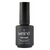 TOP COAT