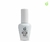 TOP COAT