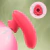 Flor de Losa na internet