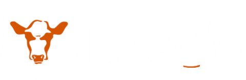 Laetto