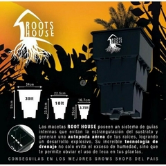 Macetas Root House 3.75L en internet