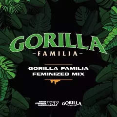 BSF Gorilla Familia Foto X12