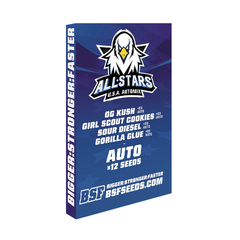 BSF All Stars USA Automix X12 en internet