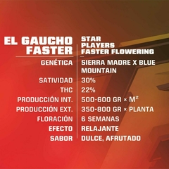 BSF El Gaucho FF X4 - comprar online