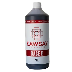 Kawsay - BASE B 1 LT - comprar online