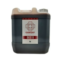 Kawsay - Base B 5L - comprar online